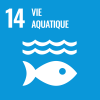 ODD 14 : Vie aquatique