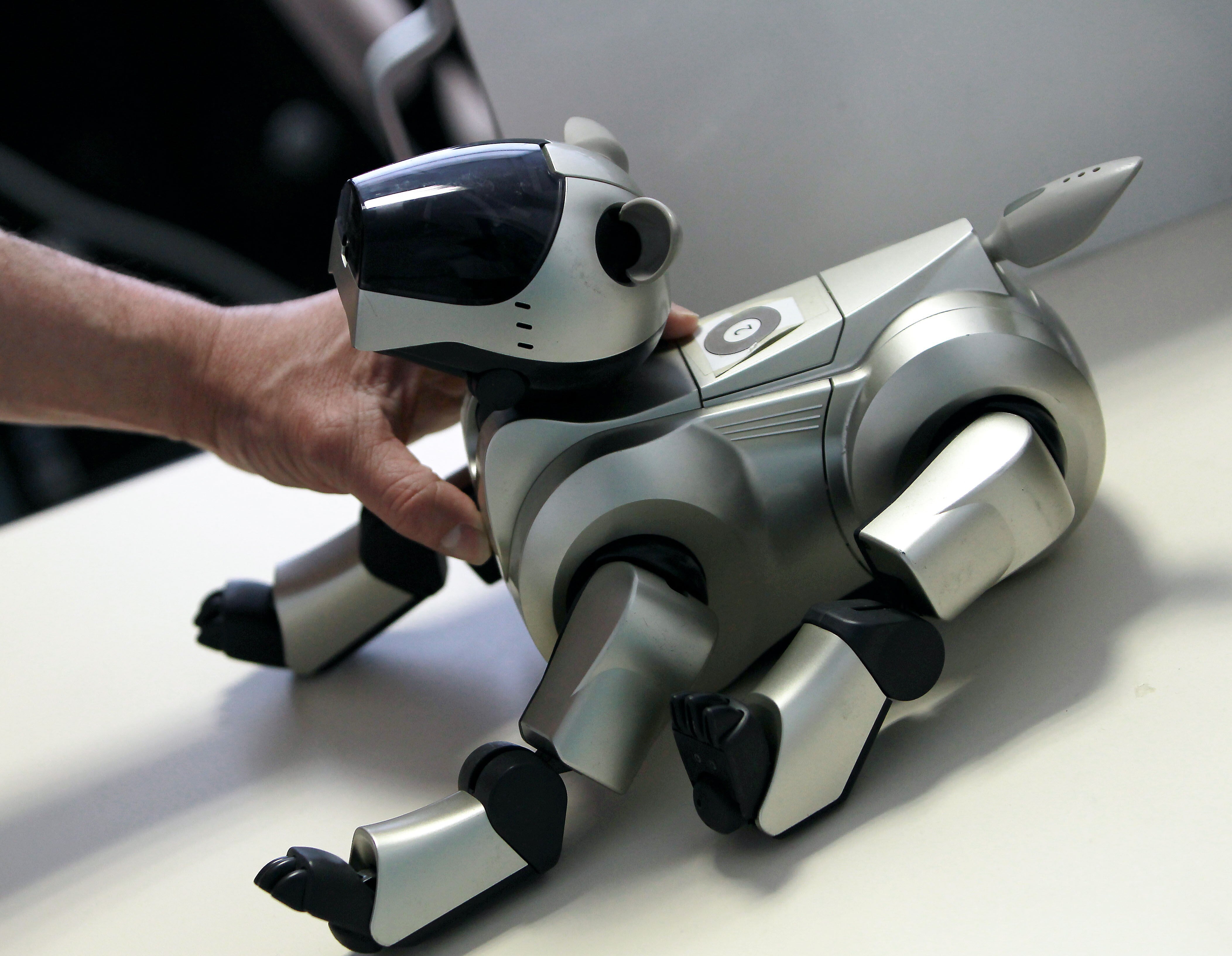 Manipulation d'un robot-chien