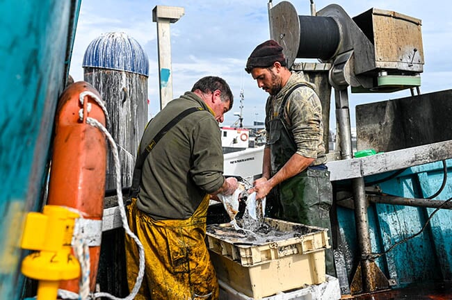 Deux pêcheurs en mer sur leur bateau