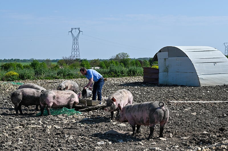 agriculteurs