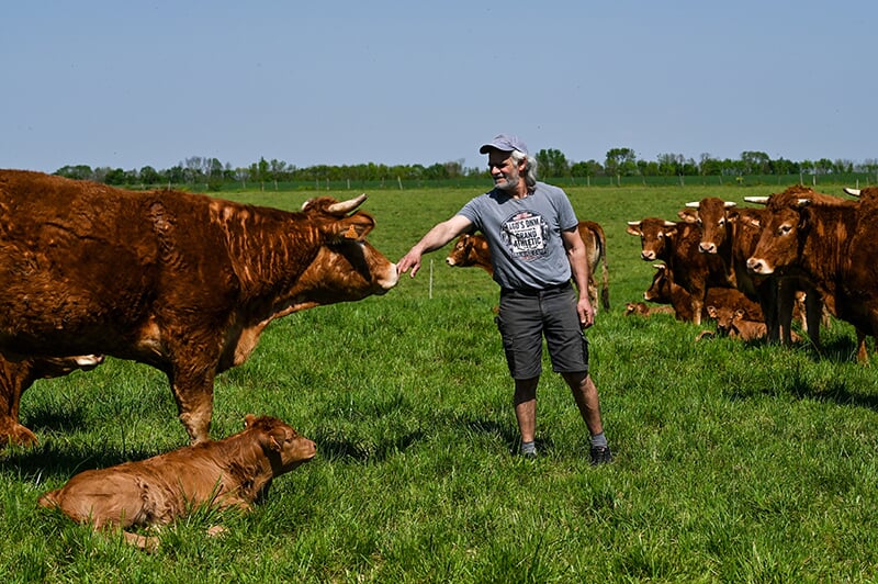 Agriculteur dans un champ