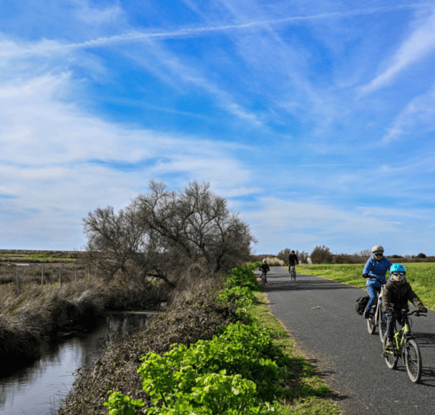 Image du Marais de Pampin à L'Houmeau