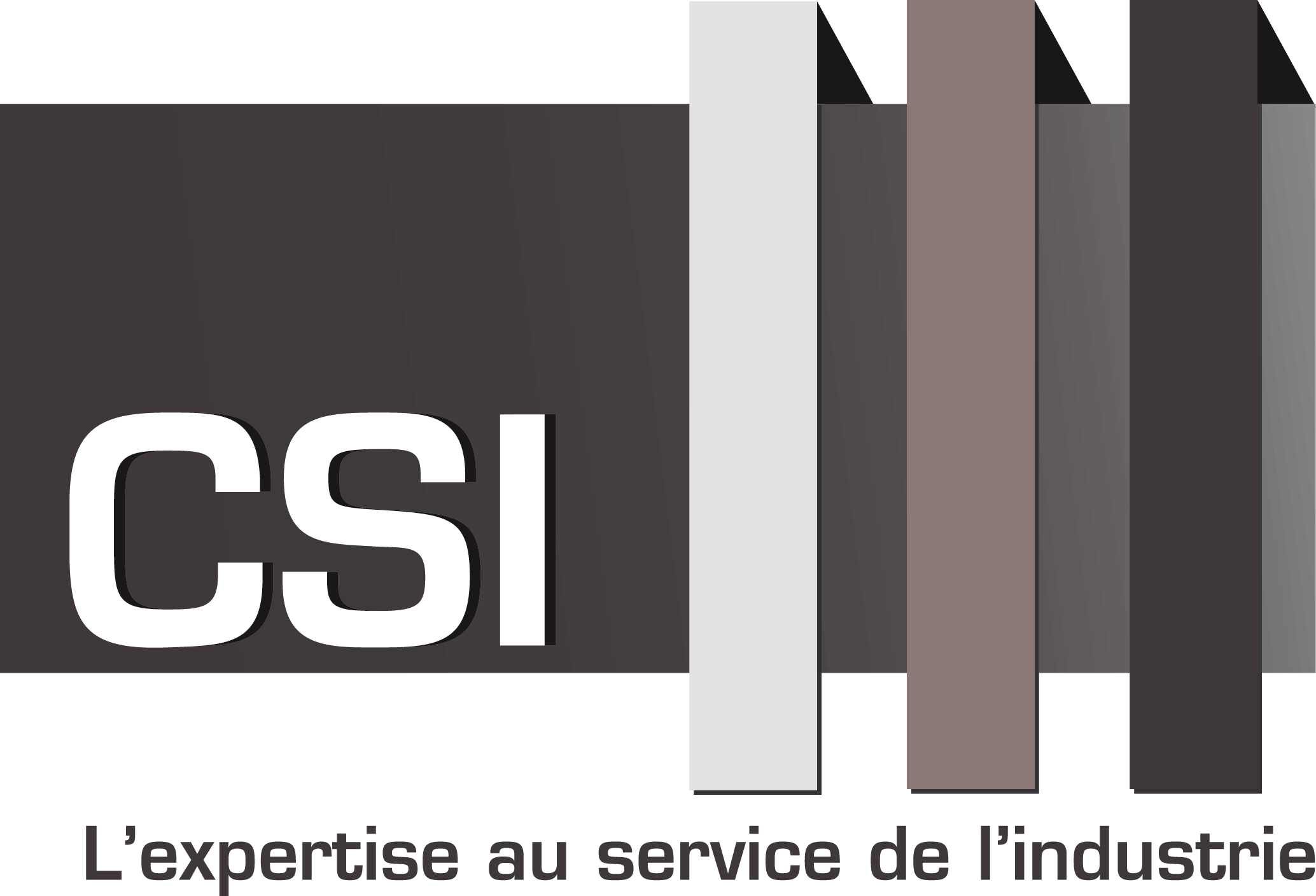 Logo CSI