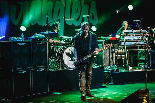 The Stranglers en concert