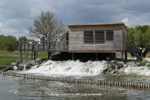 Nouveaux ouvrages de traitement des eaux à Nieul-sur-mer