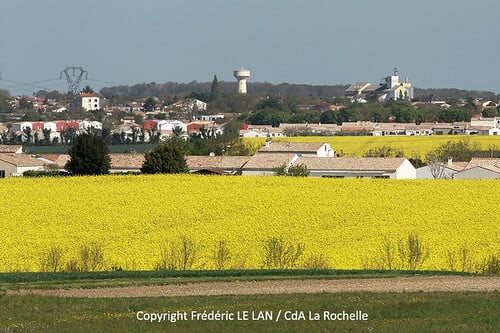 Les paysages de l'agglomération rochelaise