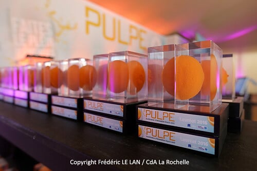 Remise des prix Pulpe 2016