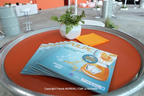 PULPE : 10 ans d'innovations !