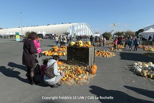 Balade à la ferme
