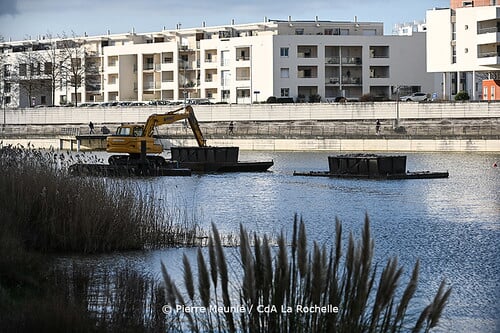 Curage du bassin de la Sole