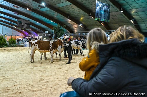 Balade à la ferme